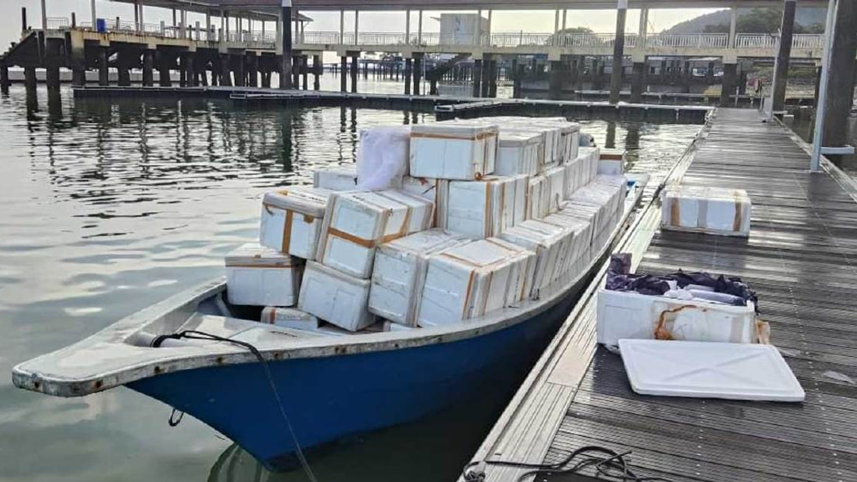 MMEA Intercepts Major Baby Lobster Smuggling Operation Worth RM2.7 Million Bound for Singapore