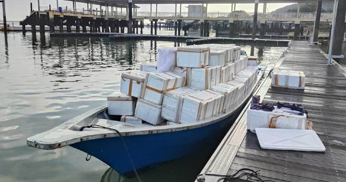 MMEA Intercepts Major Baby Lobster Smuggling Operation Worth RM2.7 Million Bound for Singapore