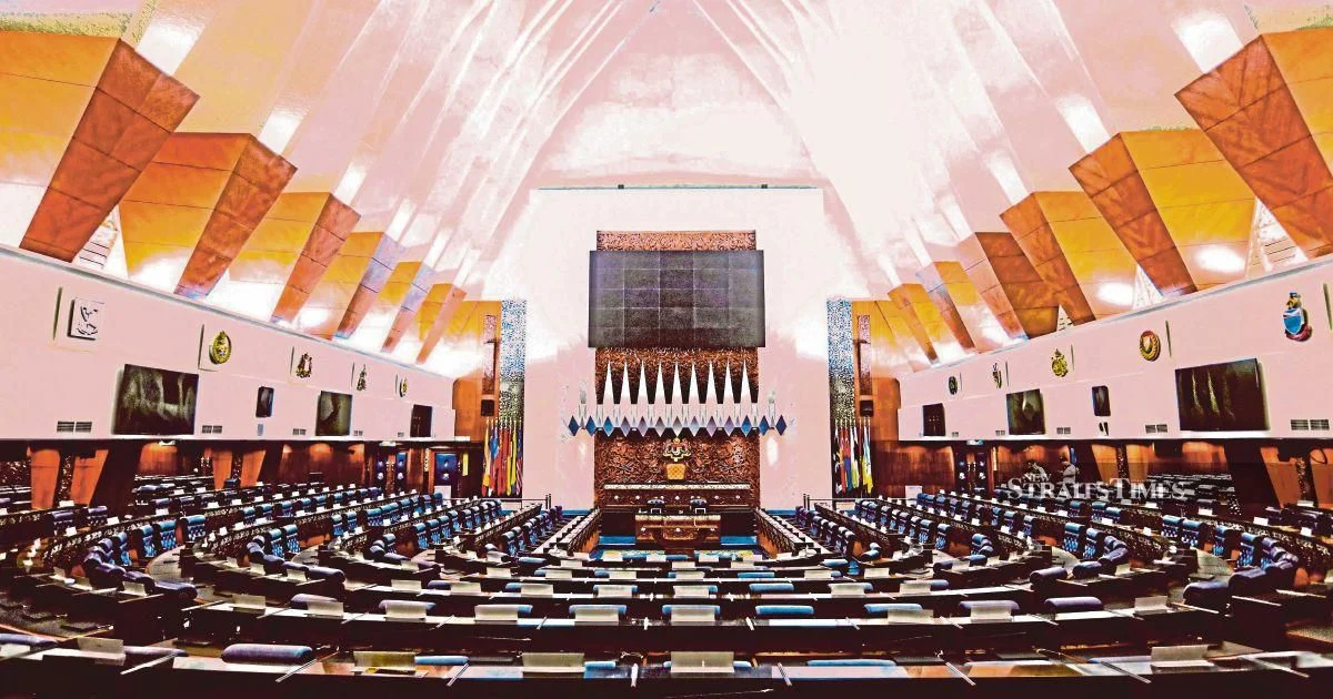 Government backbenchers hail Madani initiative targeting Indian community development