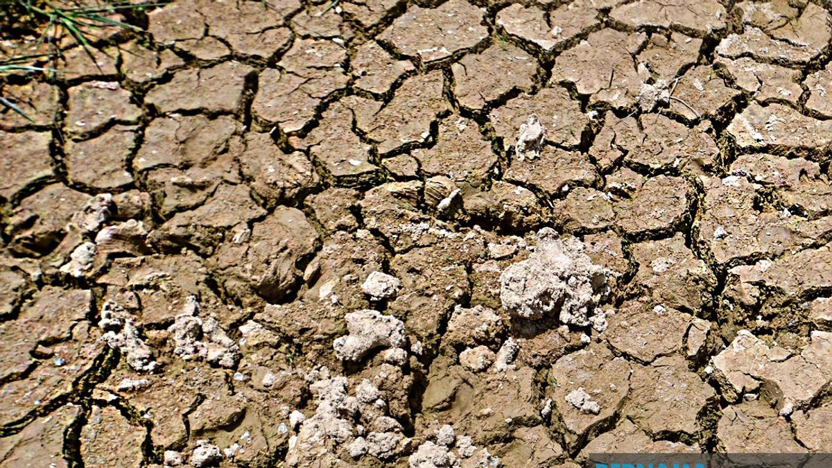 BRICS Nations Face Mounting Drought Crisis as Desertification Accelerates Across Region