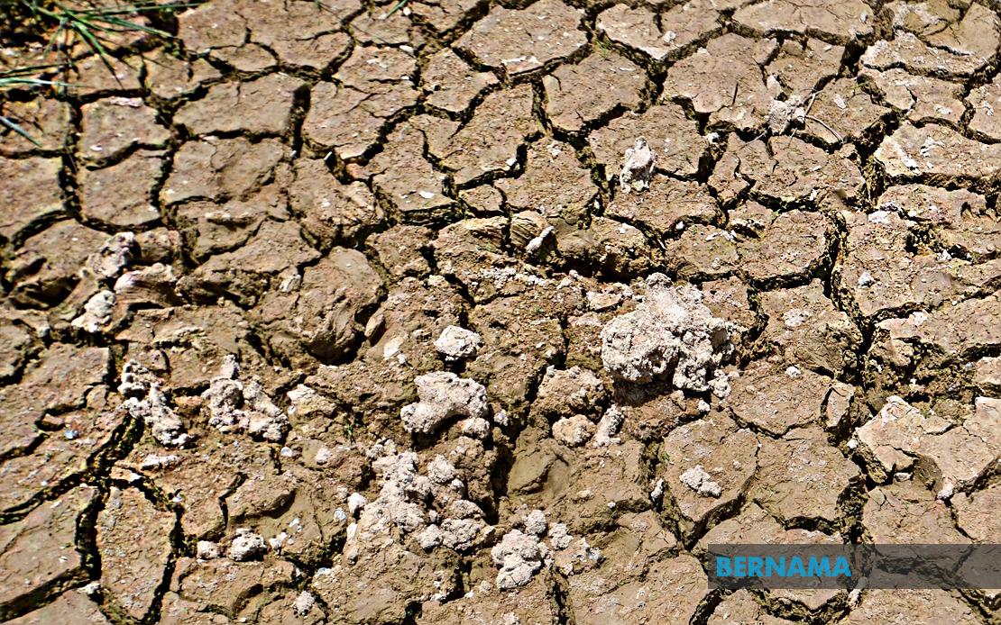 BRICS Nations Face Mounting Drought Crisis as Desertification Accelerates Across Region