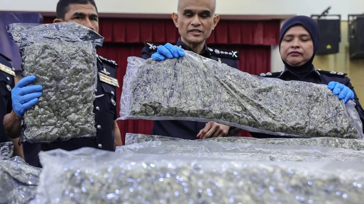 Police Seize Over Half Tonne of Cannabis at KLIA as Drug Ring Investigation Intensifies