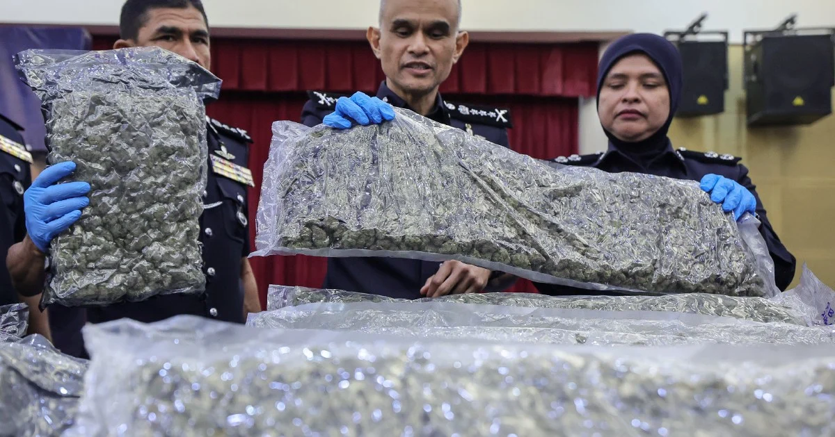 Police Seize Over Half Tonne of Cannabis at KLIA as Drug Ring Investigation Intensifies