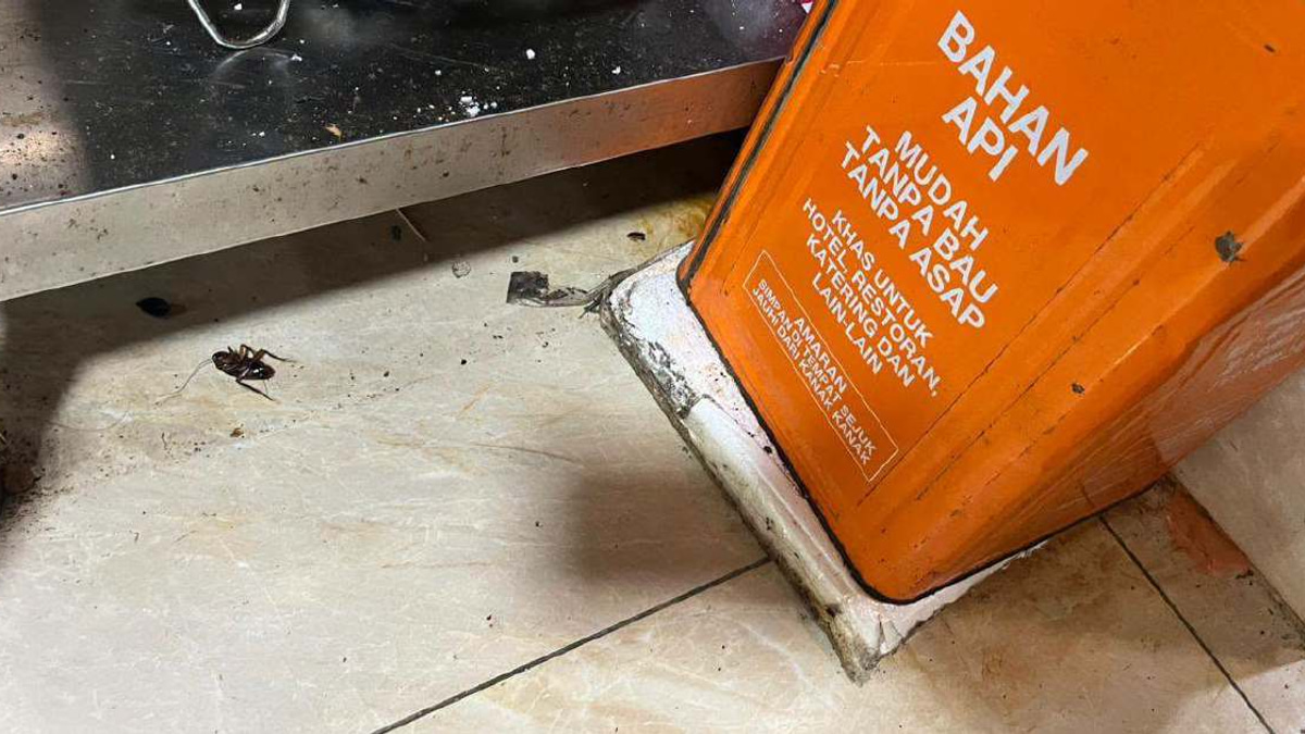 DBKL Cracks Down on Pest Infestations: 74 Notices Issued, Six Jalan Alor Food Stalls Shuttered
