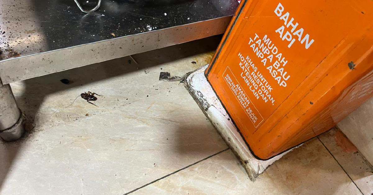 DBKL Cracks Down on Pest Infestations: 74 Notices Issued, Six Jalan Alor Food Stalls Shuttered