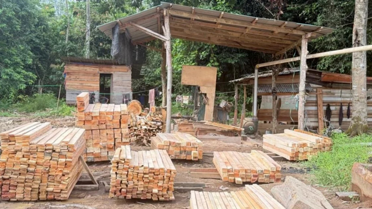 Five held, RM1.69 million in assets seized in illegal sawmill operation