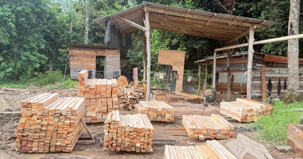 Five held, RM1.69 million in assets seized in illegal sawmill operation