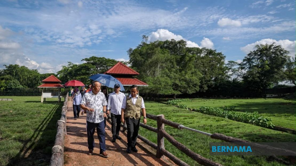 Sabah UMNO Deploys Ground Machine to Bolster BN Campaign in Key Johor Seats