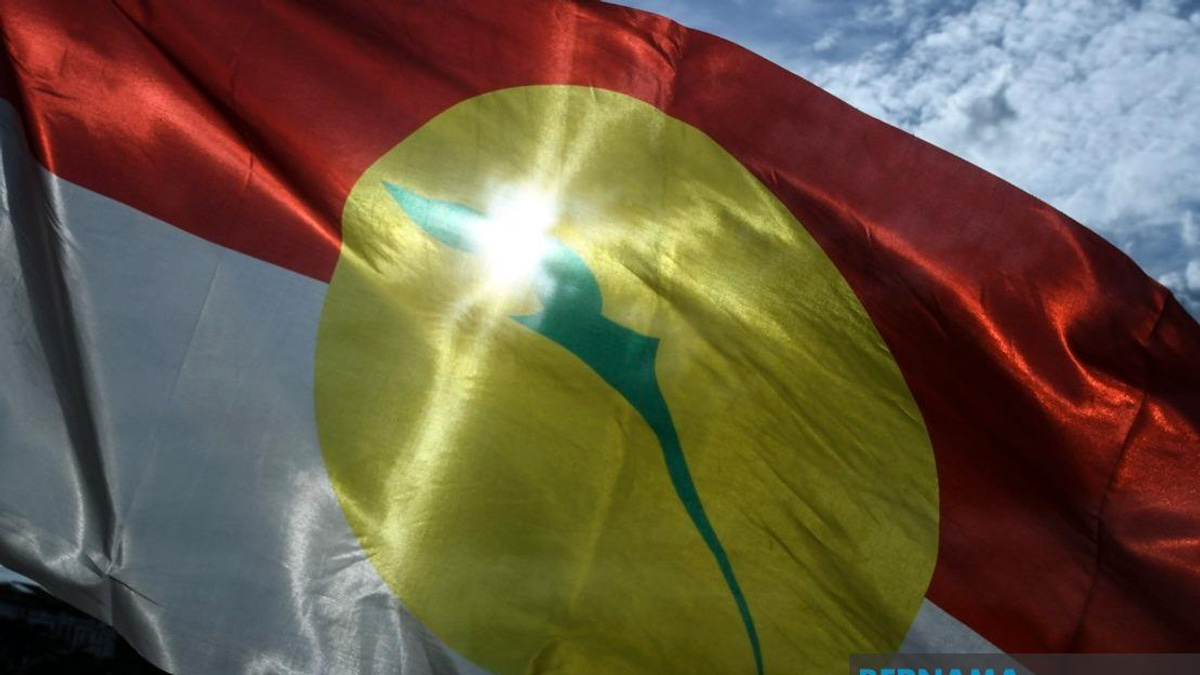 UMNO Members Must Put Party Before Personal Interest in Johor Election, Says Azalina
