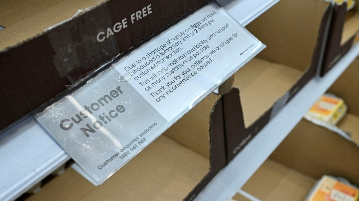 Papua New Guinea Suspends Australian Poultry Imports After H5N1 Detection