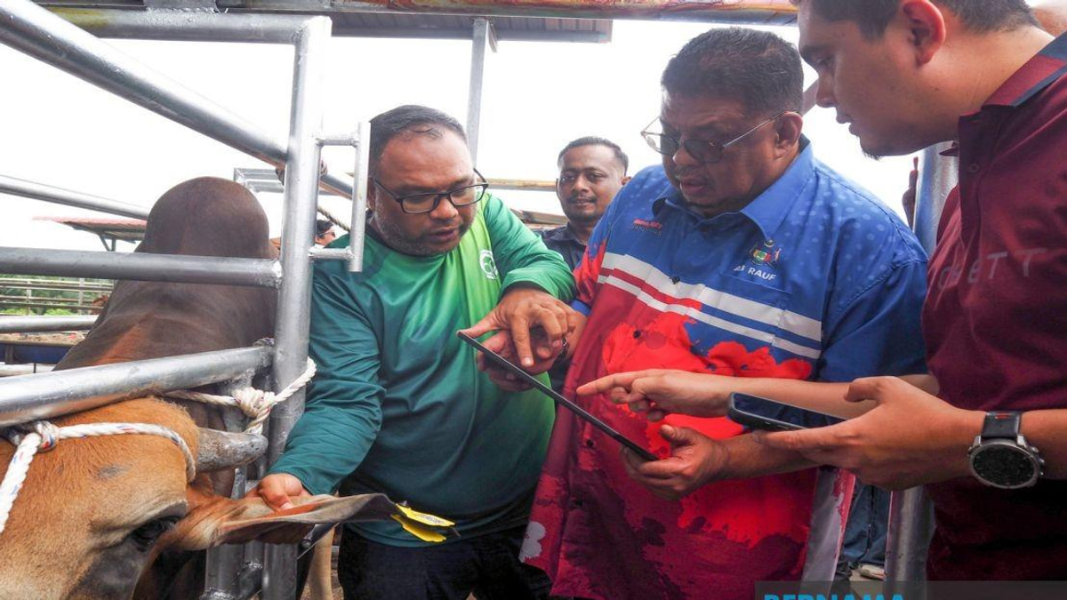 Melaka Deploys QR Tag System to Track Livestock and Boost Animal Management