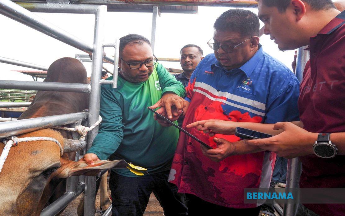 Melaka Deploys QR Tag System to Track Livestock and Boost Animal Management